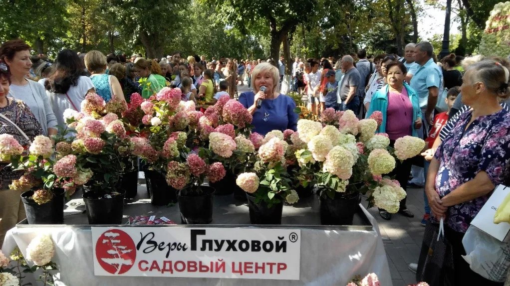 Презентация сорта Самарская Лидия в Струковском парке г. Самара 2018 год (1).jpg